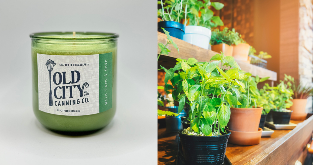 Wait- Don’t Toss That Jar! 5 Easy Ways to Reuse a Candle