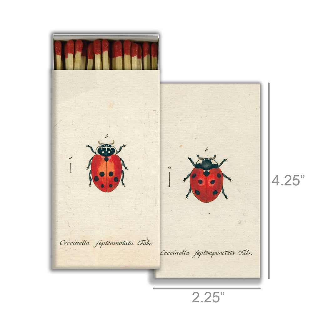 Little Lady Bug Matches